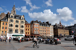 Large lille